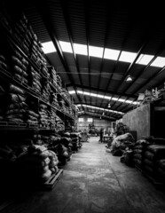 bodega