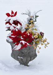 Foliage in a planter in winter with freshly fallen snow