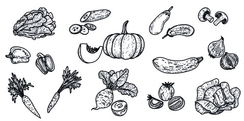 Raw vegetarian party food. Dinner with vegetables and mushrooms on white background. Barbecue stuff and place for text. Doodle vector illustration