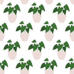 Alocasia. Vector seamless pattern of a houseplant in a pot on a white background.