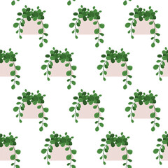 Hoya Obovata. Vector seamless pattern of a houseplant in a pot on a white background.