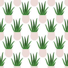 Aloe. Vector seamless pattern of a houseplant in a pot on a white background.
