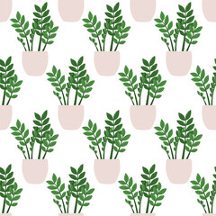 Fototapeta na wymiar Zamioculcas zamiifolia. Vector seamless pattern of a houseplant in a pot on a white background.