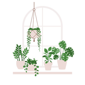 recommend clip art: Vector illustration of indoor plants in pots on a windowsill.