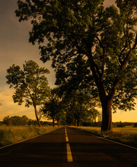 Die Straße nach Nirgendwo 