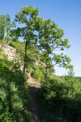 Bluff land over Mississippi River, Wisconsin
