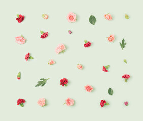 Colorful roses and pinks arranged on a pastel green background. Romantic spring flowers background.