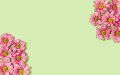 Obraz premium Pink flowers template on a pastel green background. Springtime minimal flat lay.