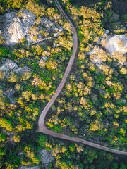 Fototapeta premium Aerial drone view of forest landscape, yellow trees, rocks and country curved road at sunset 