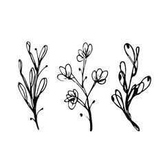 Hand drawn vector set of simple line leaves. Minimal, modern illustartion of plant. Sketch wedding design element black contour. Vector illustration isolated on white