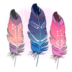 Hand drawn vector painted bird feathers isolated on white background. Colorful set for your design. Trendy boho style patterned elements, sketch, tribal colorful concept