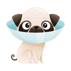 Sick puppy with protective veterinary collar cartoon vector illustration
