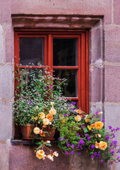Fototapeta na wymiar flower pots with roses and small climbing plants against of a large window with an old red wooden frame