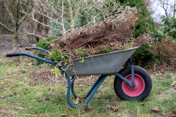 Wheelbarrow with organic waste