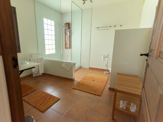 Bathroom with shower and skylight in a rural house