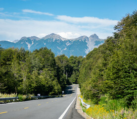 ruta con arboles y montaña paisaje  natural y verde