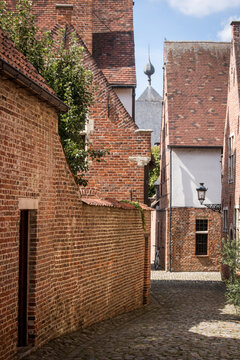 Le grand b&eacute;guinage de Louvain (Groot Begijnhof van Leuven en n&eacute;erlandais)dont l'origine remonte au xiiie si&egrave;cle, est le plus vieux et le plus grand de la ville belge de Louvain, dans la province du Br