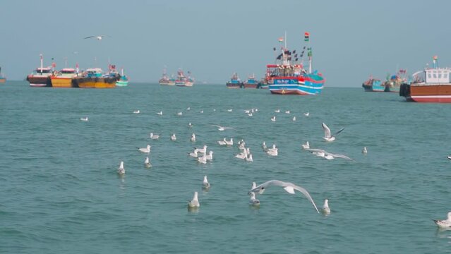 Seagulls floating and flying over ocean and boats on the way to Bet Dwarka island from Okha Port at Arabian sea in Okha, Gujarat, India