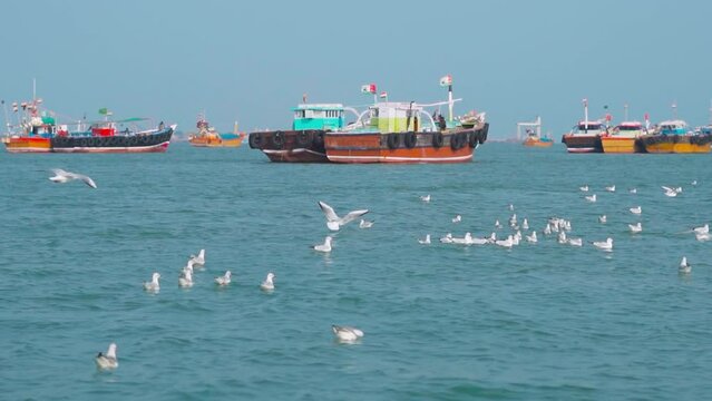 Seagulls floating and flying over ocean and boats on the way to Bet Dwarka island from Okha Port at Arabian sea in Okha, Gujarat, India