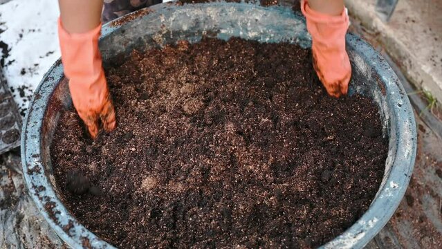 Agriculturist hand shoveling compost from manure, plant, and soil in bucket