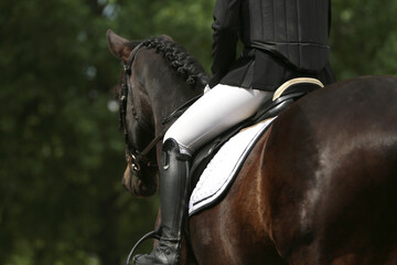 Unknown dressage rider sits on her sport horse during race