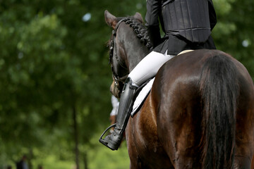 Unknown dressage rider sits on her sport horse during race
