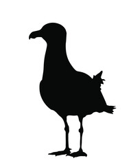 Seagull standing vector silhouette illustration isolated on white background. Sea and ocean bird. Marine bird shape symbol. Fish hunter. Gull tourist travel souvenir mascot.