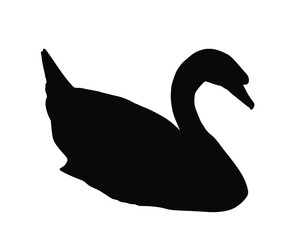 Swimming swan vector silhouette illustration isolated on white background. Wildlife big bird in nature habitat. Swan shape shadow. River or lake animal.