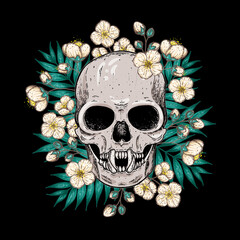 Skull and flowers hand drawn illustration. Tattoo vintage print. Floral vampire skull.