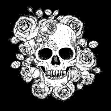Skull and flowers hand drawn illustration. Tattoo vintage print. Skull sketch.