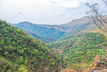 Fototapeta na wymiar Parque Nacional da Chapada dos Veadeiros.