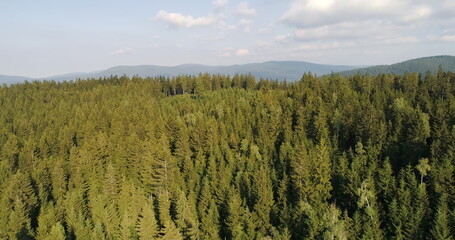 Obraz premium Beautiful View of Forest and Fields Aerial