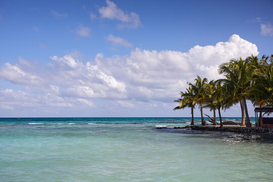 Belize, Silk Caye, Ocean and palm trees