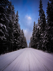 Wintery Mountain Road
