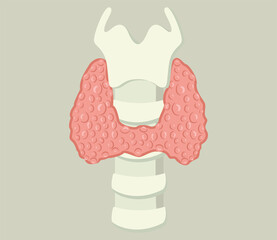 Larynx and thyroid gland. Isolated on soft background. Vector illustration. - obrazy, fototapety, plakaty