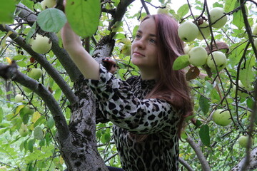 girl in the park gathers apples