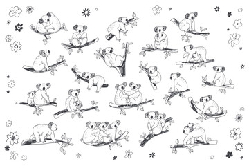 Koala animal with branches vector line illustrations set © GooseFrol