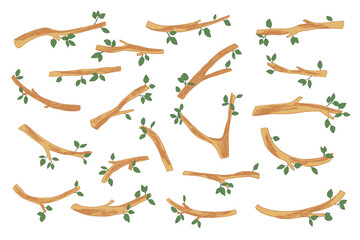 Branch tree vector illustrations set