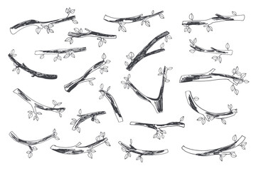 Branch tree vector line illustrations set