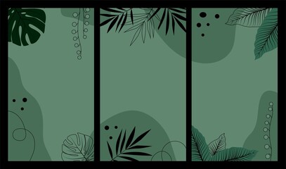 Abstract botanical background for instagram stories with tropical leaves of monstera, palm and dieffenbachia. Vector flat illustration.