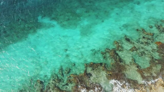 Wild Rocky Sea Shore on Cozumel Island, Mexico. Top Aerial View