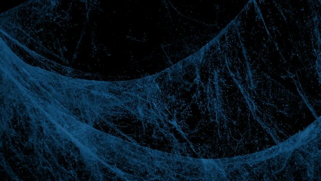 Passing Spiderwebs In Breeze At Night