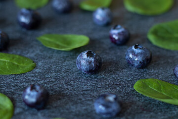 Fresh ripe blueberries with organic baby spinach leave on grey granite background.  Healthy antioxidant and fiber-rich food concept. Vibrant blue and green colored fruits and vegetables.