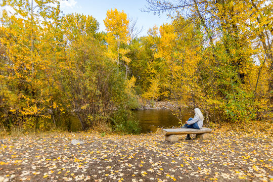 USA, Idaho, Hailey, Rear view of senior woman relaxing on bench by river in Autumn