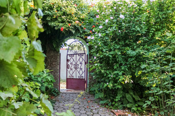 gate near the hedge