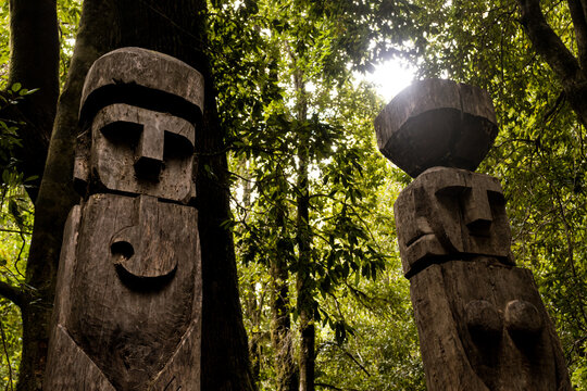 Trail of the spirits in the huilo huilo reserve