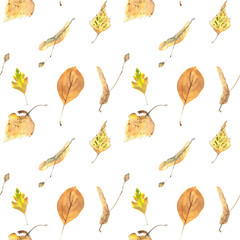 Waterlolor pattern with leaves and herbs from the Russian forest