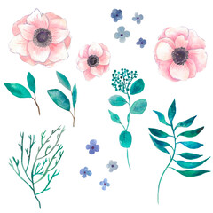 Watercolor set with flowers and leaves isolated on white background