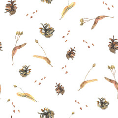 Watercolor pattern with  fir cones isolated on white background