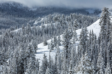 USA, Idaho, Ketchum, Mountain landscape and forest in winter